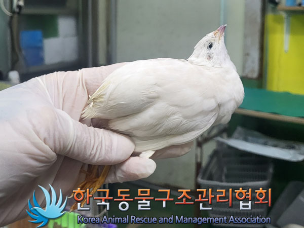 한국동물구조관리협회_411309202300359
